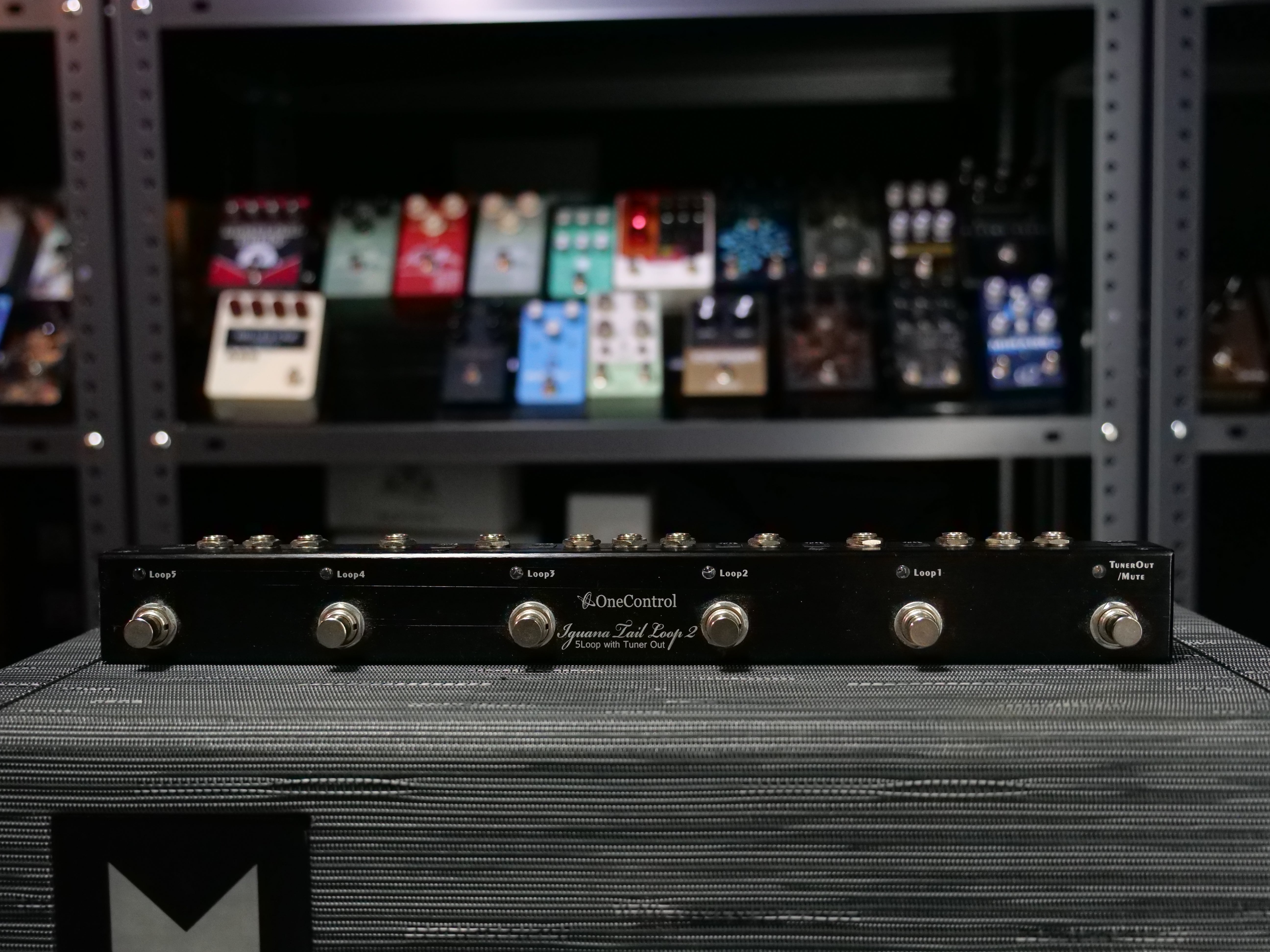 【USED】Iguana Tail l Loop 2
